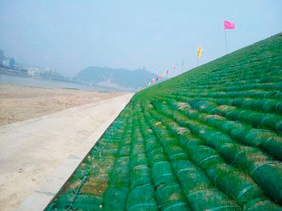 三維植被網護坡